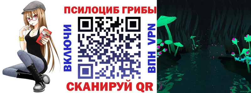 МЕГА маркетплейс  Аксай  Галлюциногенные грибы Psilocybe 