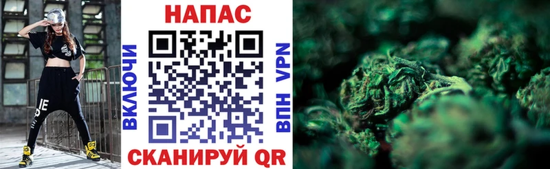 Канабис сатива  Аксай 